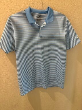 Nike Light Blue and White Striped Polo
